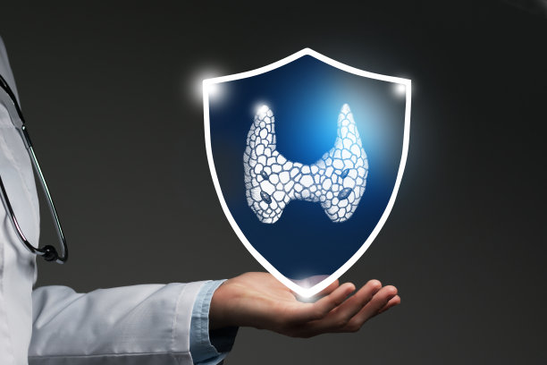 无法辨认的女医生手持盾牌和图形虚拟可视化甲状腺器官在手中。图片下载