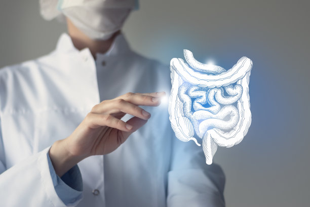 难以辨认的医生手里拿着突出的手写肠。医学插图模板科学模型图片下载