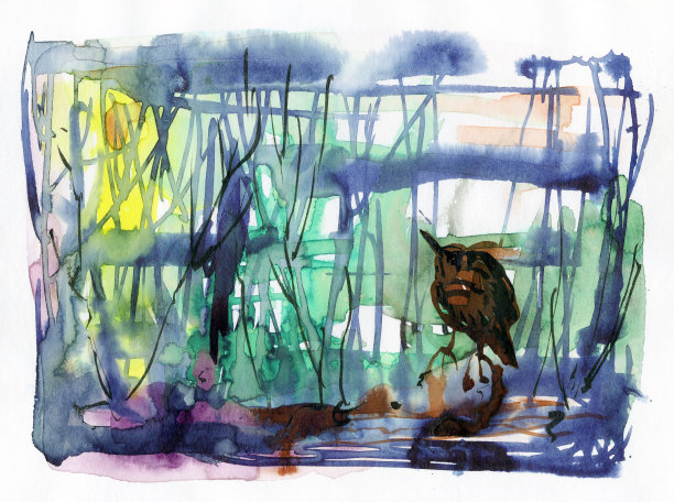 湖岸或河边的卤水。图片下载