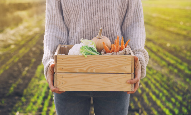 妇女与当地有机食品的农田地区。在当地农贸市场的户外，顾客或农民带着一箱蔬菜。不使用塑料的可持续购物。中小企业的概念。图片下载