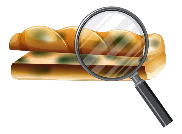 发霉不能吃的面包图片下载