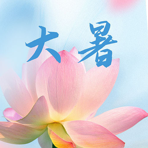 大暑节气荷花祝福公众号封面次图图片下载