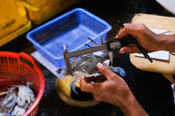 蟹捕获分析图片下载