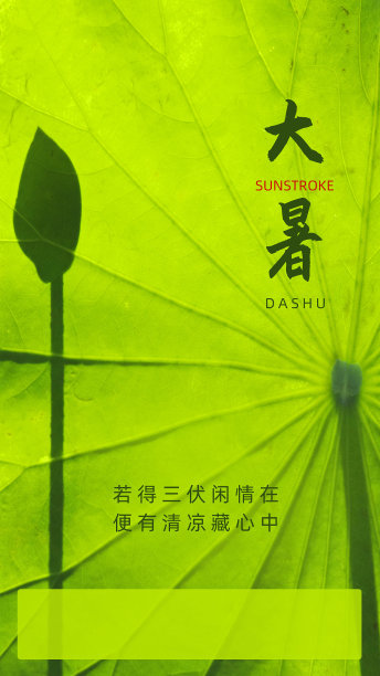 绿色简约图文荷叶大暑手机海报图片下载
