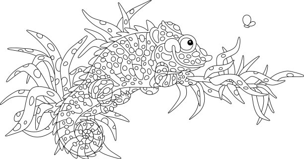 有趣的变色龙躲在热带的树上图片下载