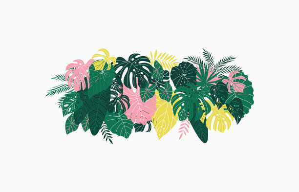 热带树叶横向组成异国情调图片下载