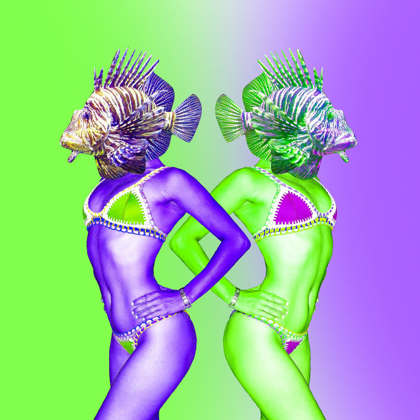 当代超现实主义最小拼贴艺术。鱼滩小姐变形。夏季，假期有趣的聚会时间概念图片下载