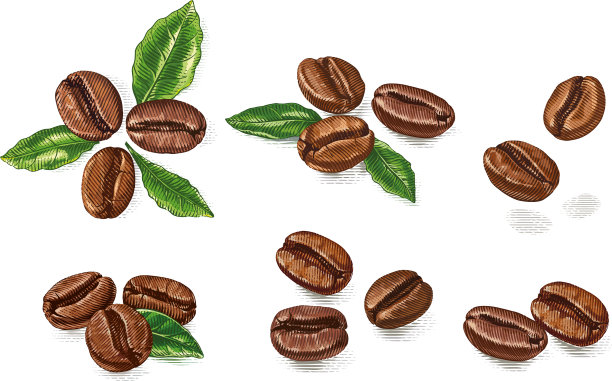 彩色套装咖啡豆手绘素描图片下载