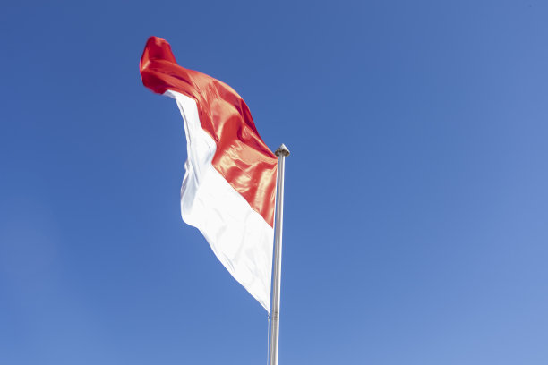 图为摩纳哥公国国旗在蓝天下飘扬。图片下载