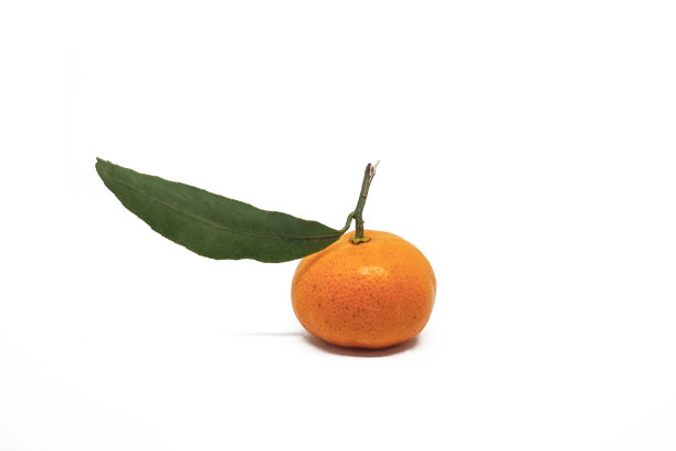 白色背景上孤立的“三塘”橘子图片下载