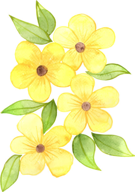 黄色的花与绿色的叶子花束水彩图片下载