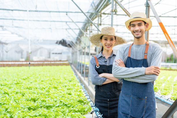 亚洲农民夫妇在蔬菜水培农场工作的肖像。有吸引力的农业青年男女站在一起看着镜头微笑和自信的温室农场图片下载