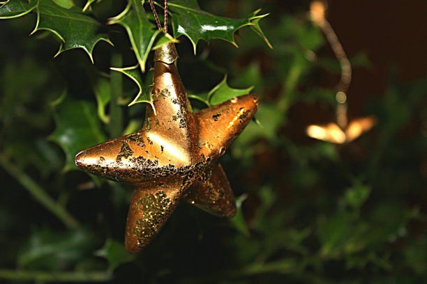 星星形状的圣诞树玩具图片下载