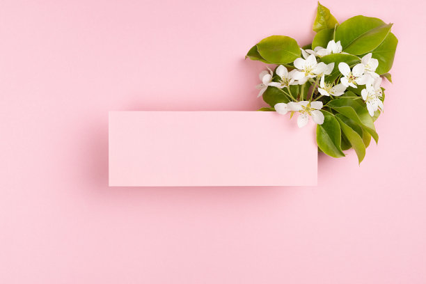 春天粉红色空白卡文本样机与温柔的白色苹果树花，绿色的叶子粉彩背景。美丽的花卉背景广告，品牌标识，贺卡。图片下载