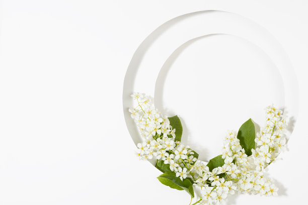 白色圆形空白拱形文字模拟白色的鸟樱桃花，绿色的叶子在白色的背景，复制空间。婚礼花卉背景广告，品牌标识，贺卡。图片下载