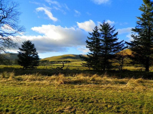 群山映衬下的绿地图片下载