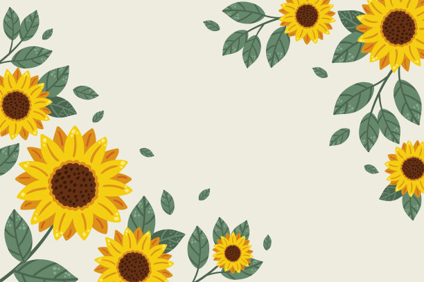 手绘平面设计向日葵的边界图片下载