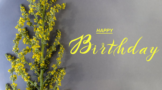 明信片，互联网横幅，平铺着生日祝福，上面有题词——生日快乐图片下载