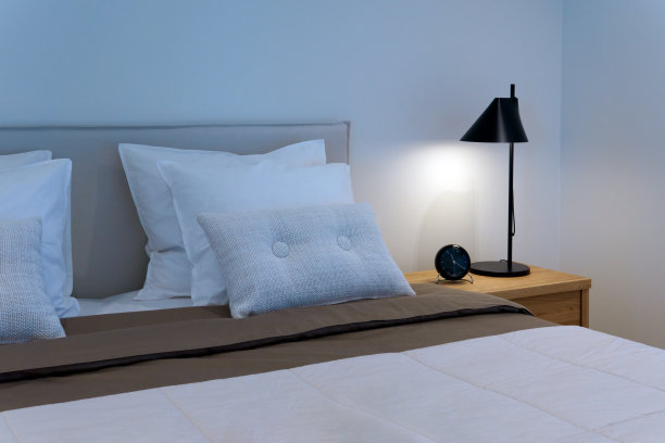 现代斯堪的纳维亚式卧室内部图片下载