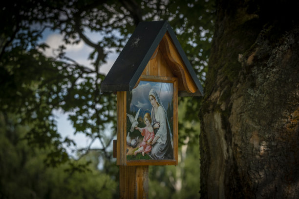 夏日里波西米亚北部小路旁的树下的彩色照片图片下载