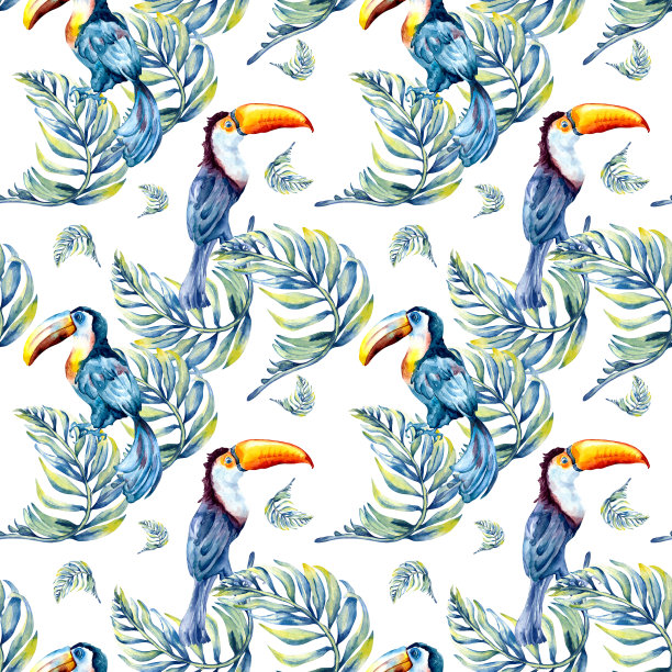 热带鸟巨嘴鸟和棕榈叶水彩无缝图案隔离。图片下载