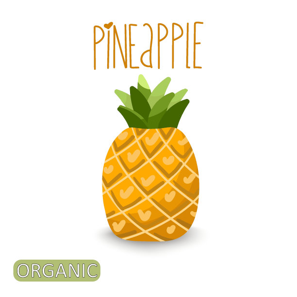 矢量插图水果菠萝在一个白色的背景，手绘，刻字菠萝，铭文有机。图片下载
