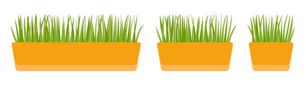 植物在锅图片下载