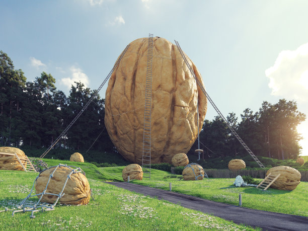 巨大的核桃世界。图片下载