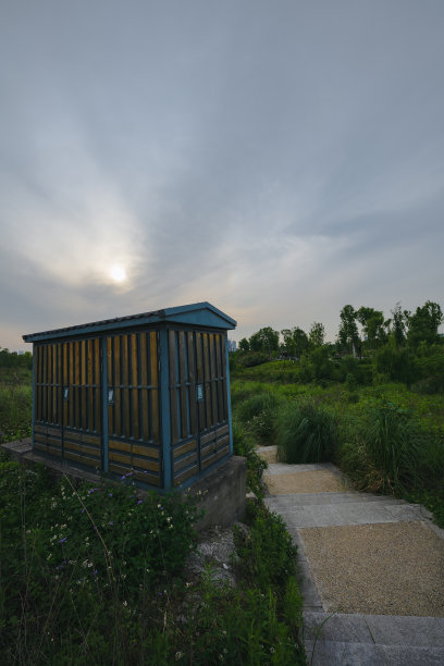 黄昏的草和树图片下载