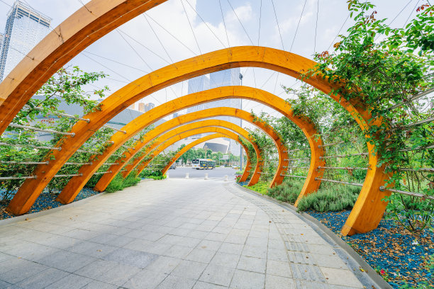 阳光明媚的树木、河流和现代建筑图片下载