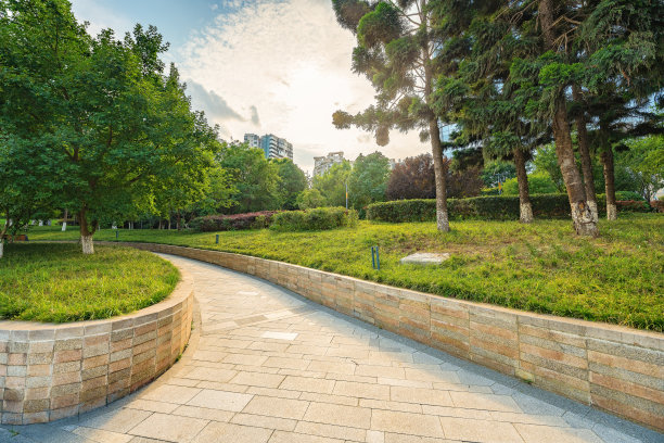 阳光明媚的树木、河流和现代建筑图片下载