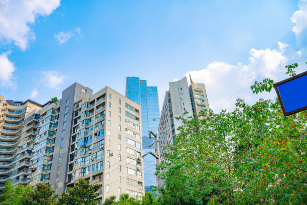 阳光明媚的现代住宅和树木图片下载