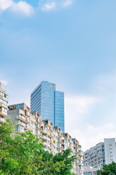 阳光明媚的现代住宅和树木图片下载