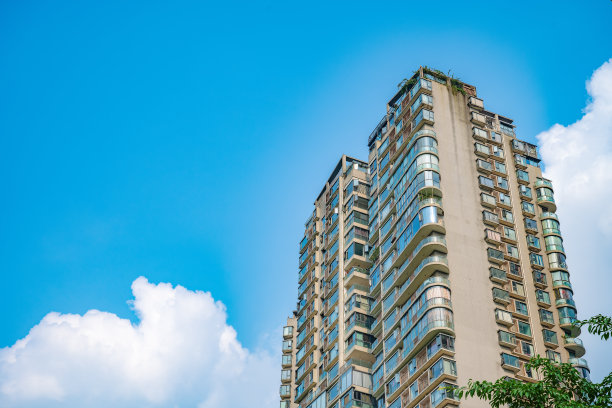 阳光明媚的现代住宅和树木图片下载