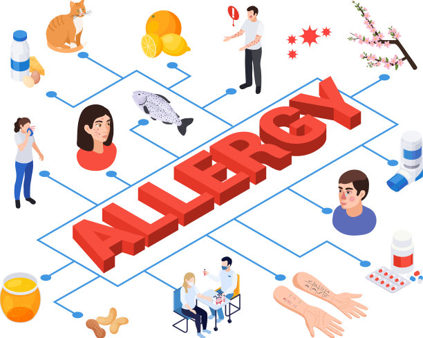 过敏等距流程图组成图片下载