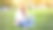 商务女性坐在草地夏季公园使用笔记本电脑商务人士远程工作。在户外图片下载