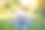 商务女性坐地草地夏季公园使用笔记本电脑商务人士远程工作。户外图片下载