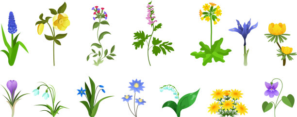 春天种植园艺森林和园林花卉图片下载