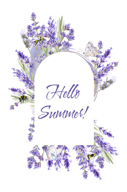 薰衣草水彩插图，薰衣草花圈框。普罗旺斯插图。孤立在白色图片下载
