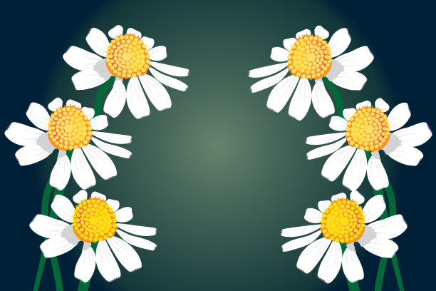 黛西花图标周年生日快乐卡片图片下载