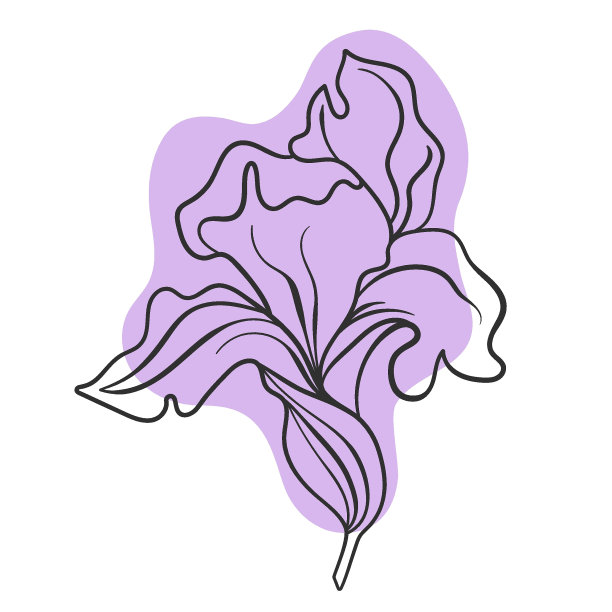 矢量线黑色插图图形花虹膜与颜色污渍。图片下载