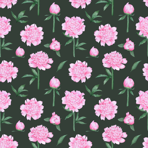 水彩无缝图案与花卉元素图片下载