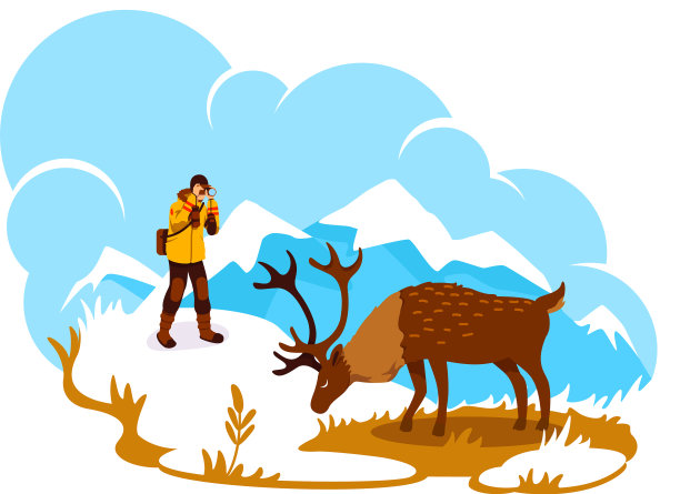 摄影在阿拉斯加2d网页横幅海报图片下载