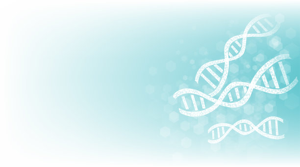 白色和蓝色背景的DNA双螺旋结构。图片下载