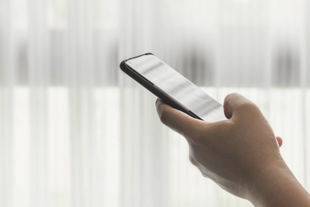 手机上网浏览。图片下载