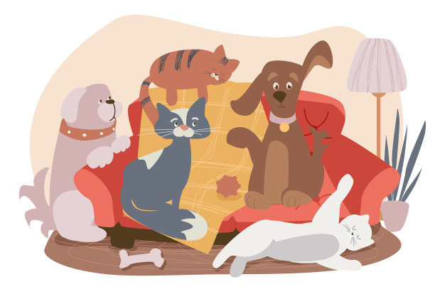 可爱的狗和猫坐在沙发上的概念图片下载