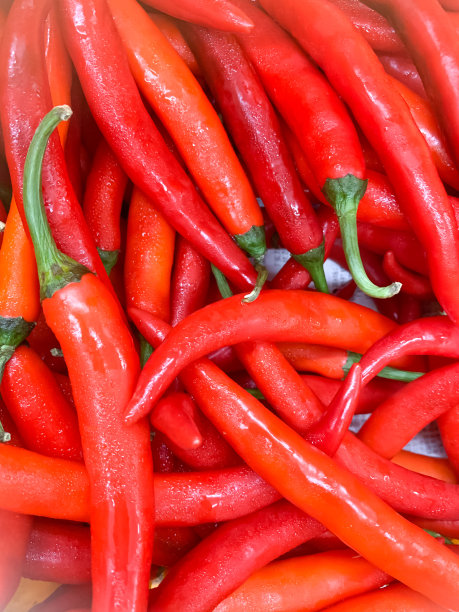 红辣椒图片下载