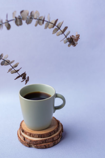 绿色咖啡杯与桉树叶在柔和的紫罗兰背景图片下载