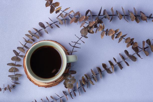 绿色咖啡杯与桉树叶在柔和的紫罗兰背景图片下载