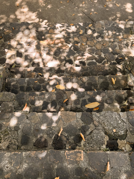 落叶落在地上，石径台阶图片下载